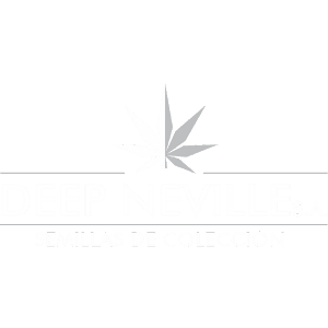 Logo de cliente de Liebman & Asociados