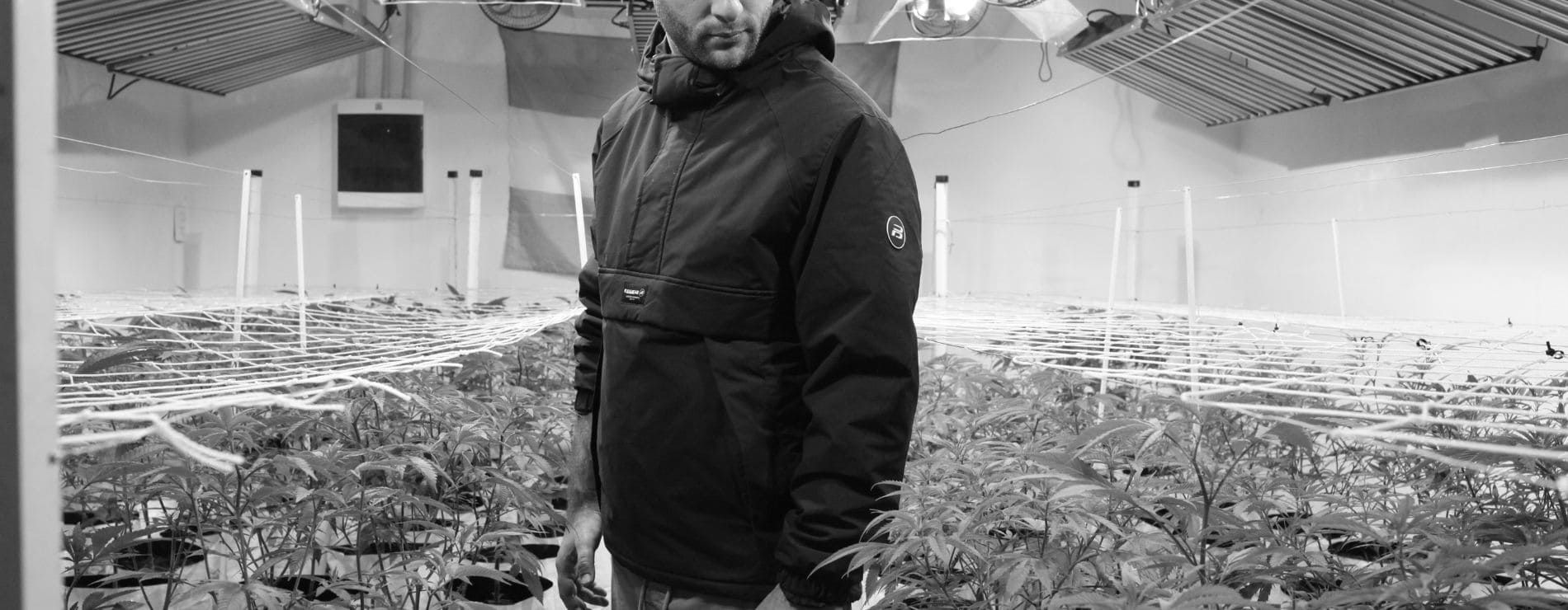 Persona trabajando en una nave de cultivo